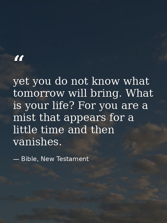 yet you do not know what tomorrow will bring. What is your life? For you are a mist that appears for a little time and t — Bible, New Testament