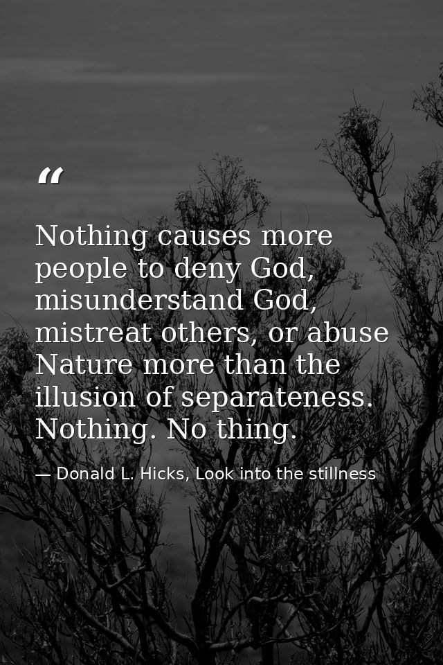 Nothing causes more people to deny God, misunderstand God, mistreat others, or abuse Nature more than the illusion of se — Donald L. Hicks, Look into the stillness