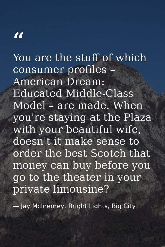 You are the stuff of which consumer profiles – American Dream: Educated Middle-Class Model – are made. When you're stayi — Jay McInerney, Bright Lights, Big City