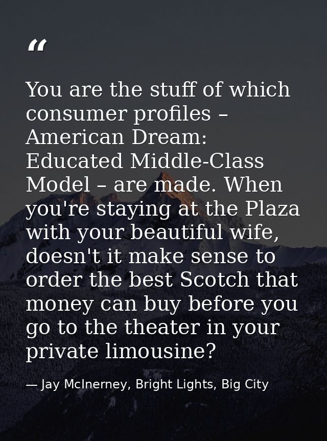 You are the stuff of which consumer profiles – American Dream: Educated Middle-Class Model – are made. When you're stayi — Jay McInerney, Bright Lights, Big City