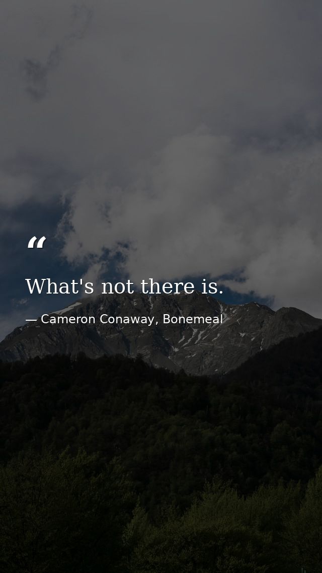 What's not there is. — Cameron Conaway, Bonemeal