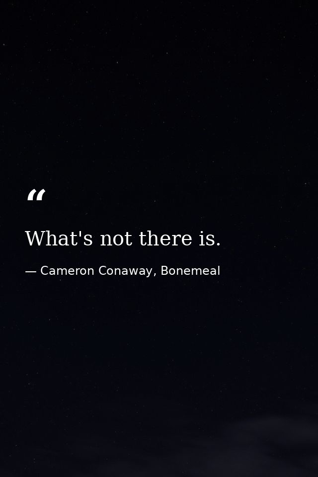 What's not there is. — Cameron Conaway, Bonemeal