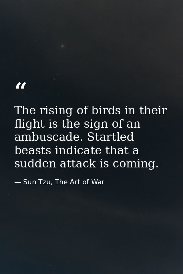 The rising of birds in their flight is the sign of an ambuscade. Startled beasts indicate that a sudden attack is coming — Sun Tzu, The Art of War
