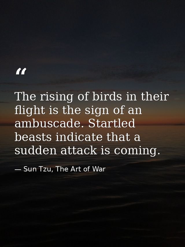 The rising of birds in their flight is the sign of an ambuscade. Startled beasts indicate that a sudden attack is coming — Sun Tzu, The Art of War