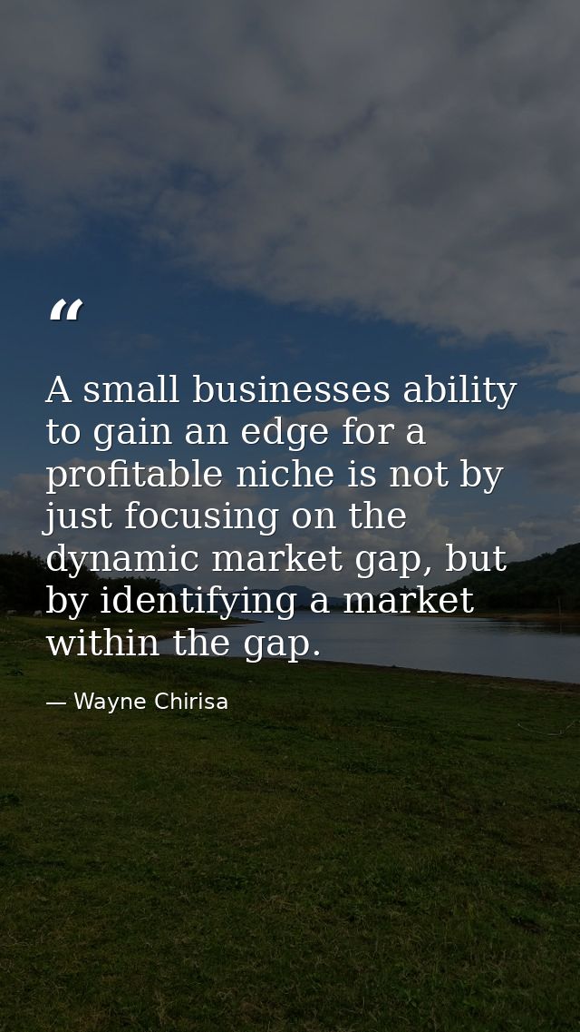 A small businesses ability to gain an edge for a profitable niche is not by just focusing on the dynamic market gap, but — Wayne Chirisa