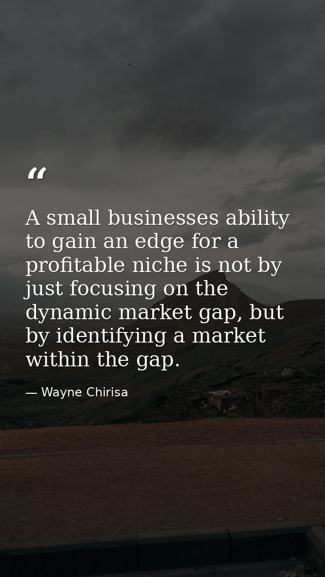 A small businesses ability to gain an edge for a profitable niche is not by just focusing on the dynamic market gap, but — Wayne Chirisa