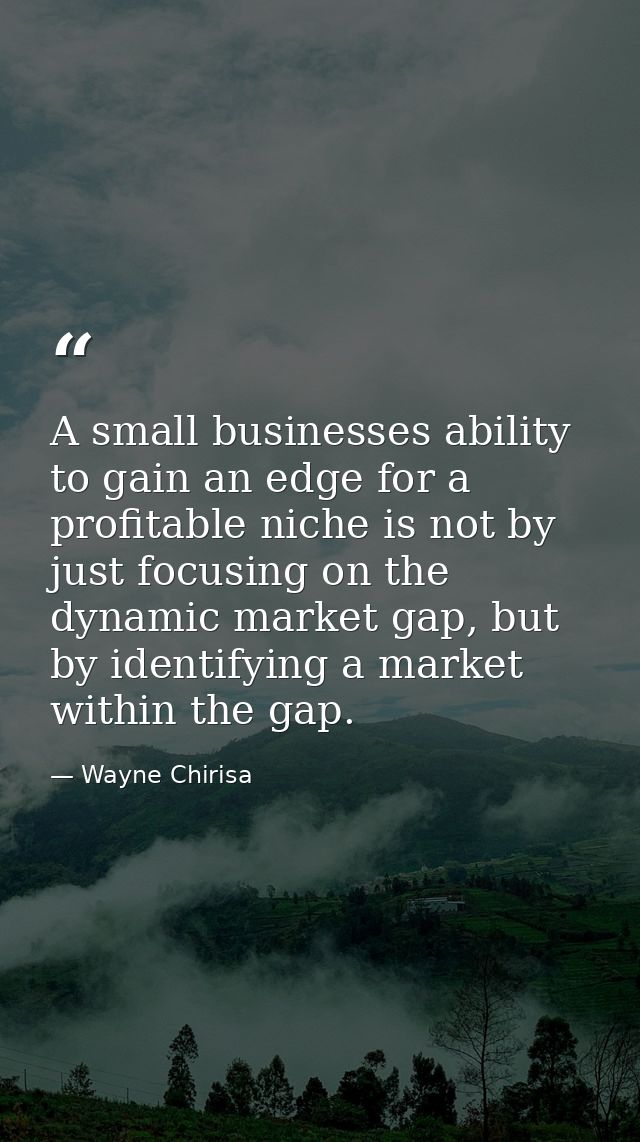 A small businesses ability to gain an edge for a profitable niche is not by just focusing on the dynamic market gap, but — Wayne Chirisa