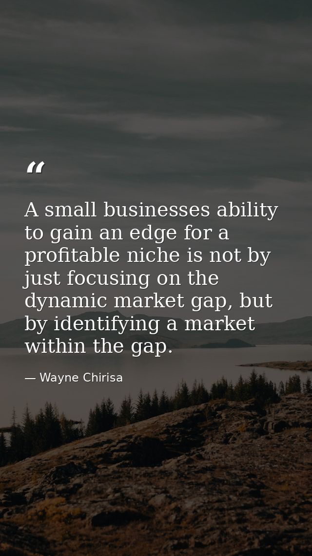 A small businesses ability to gain an edge for a profitable niche is not by just focusing on the dynamic market gap, but — Wayne Chirisa