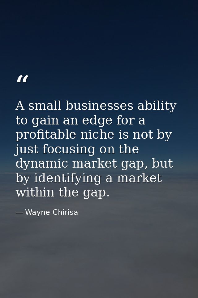 A small businesses ability to gain an edge for a profitable niche is not by just focusing on the dynamic market gap, but — Wayne Chirisa