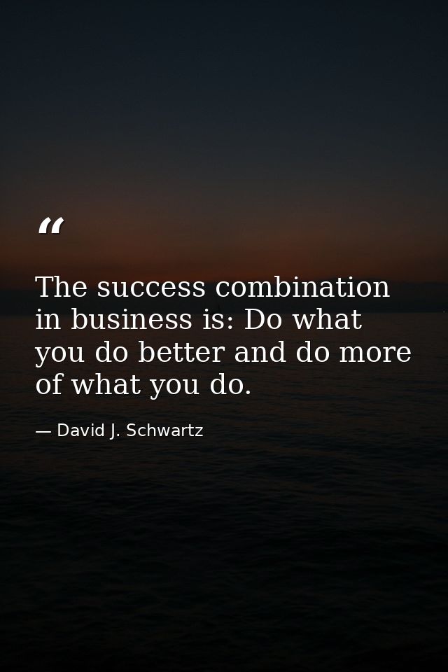 The success combination in business is: Do what you do better and do more of what you do. — David J. Schwartz