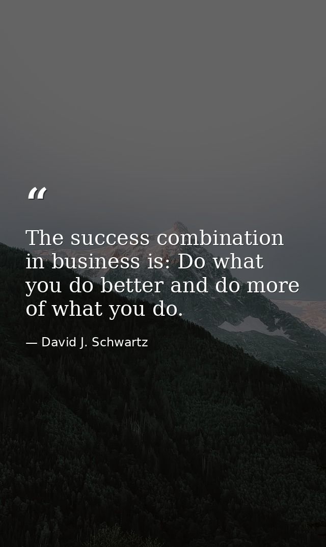 The success combination in business is: Do what you do better and do more of what you do. — David J. Schwartz