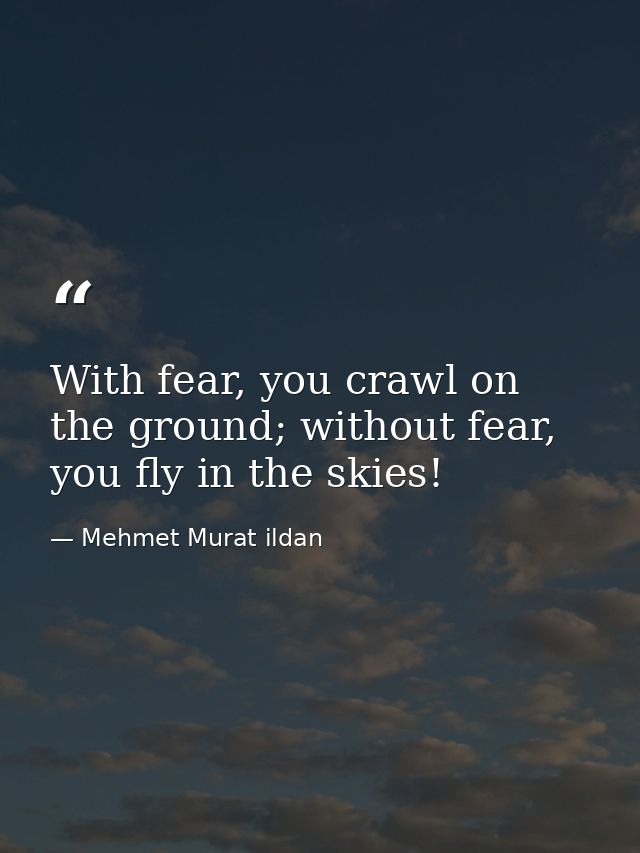 With fear, you crawl on the ground; without fear, you fly in the skies! — Mehmet Murat ildan