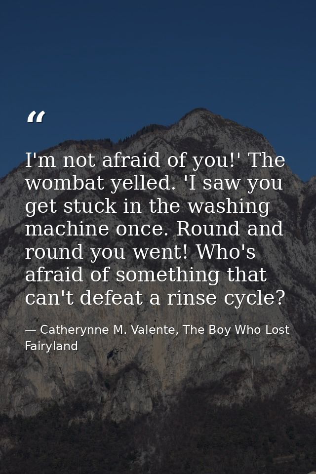I'm not afraid of you!' The wombat yelled. 'I saw you get stuck in the washing machine once. Round and round you went! W — Catherynne M. Valente, The Boy Who Lost Fairyland