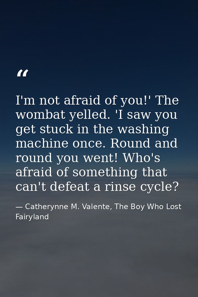 I'm not afraid of you!' The wombat yelled. 'I saw you get stuck in the washing machine once. Round and round you went! W — Catherynne M. Valente, The Boy Who Lost Fairyland