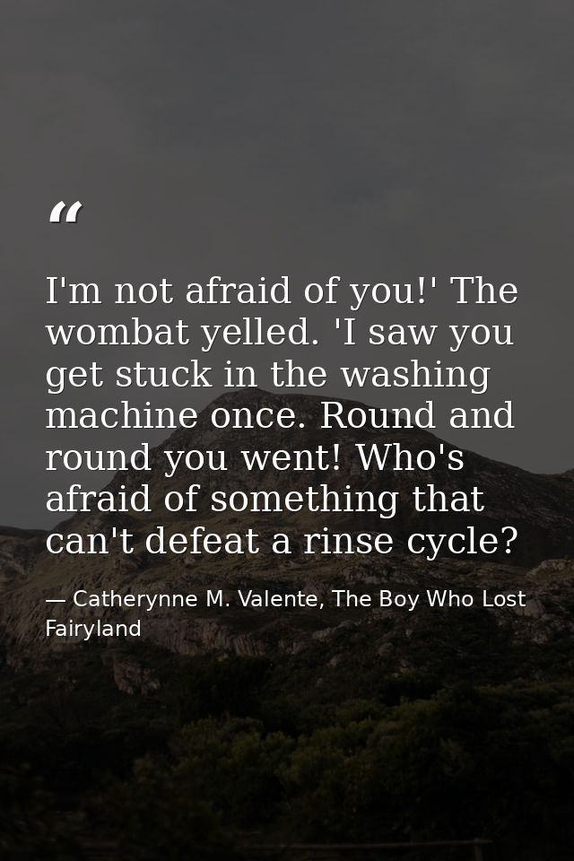 I'm not afraid of you!' The wombat yelled. 'I saw you get stuck in the washing machine once. Round and round you went! W — Catherynne M. Valente, The Boy Who Lost Fairyland
