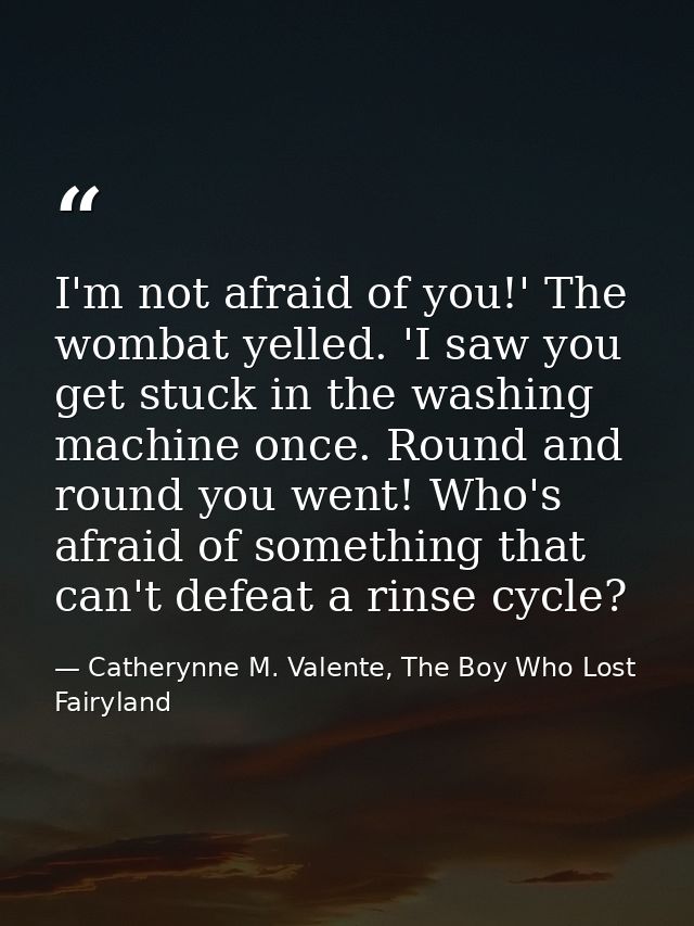 I'm not afraid of you!' The wombat yelled. 'I saw you get stuck in the washing machine once. Round and round you went! W — Catherynne M. Valente, The Boy Who Lost Fairyland