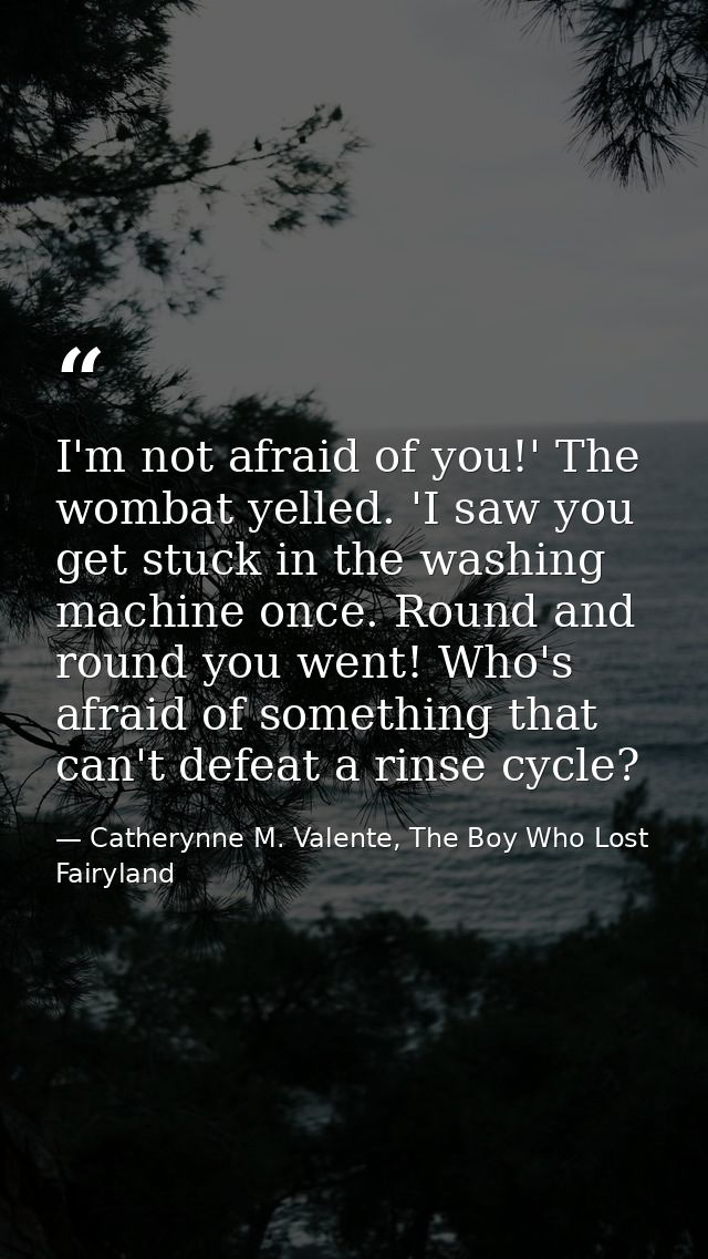 I'm not afraid of you!' The wombat yelled. 'I saw you get stuck in the washing machine once. Round and round you went! W — Catherynne M. Valente, The Boy Who Lost Fairyland