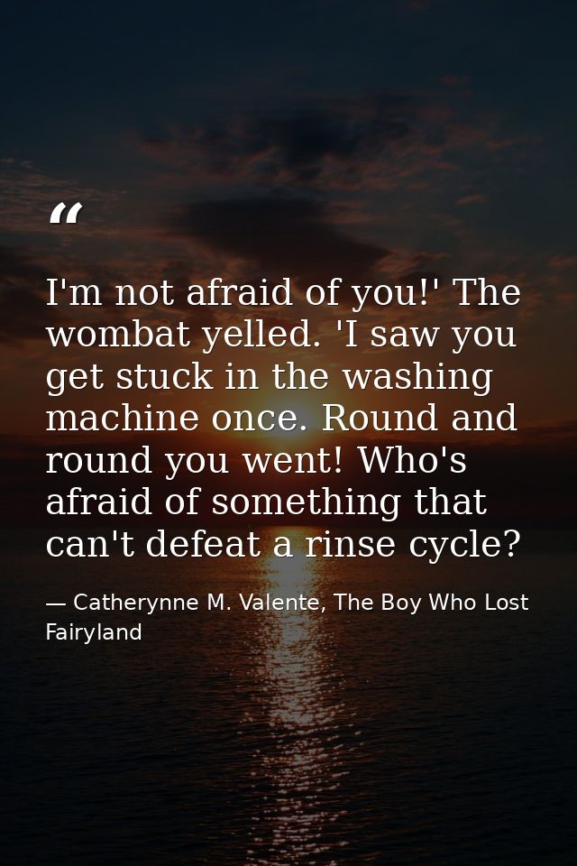 I'm not afraid of you!' The wombat yelled. 'I saw you get stuck in the washing machine once. Round and round you went! W — Catherynne M. Valente, The Boy Who Lost Fairyland