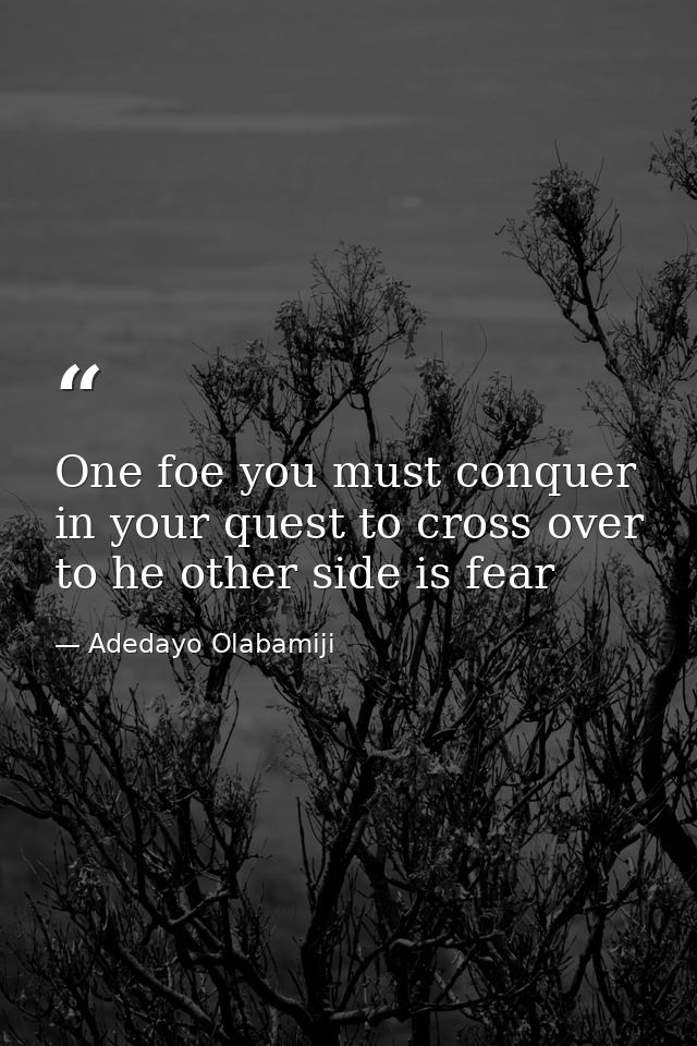 One foe you must conquer in your quest to cross over to he other side is fear — Adedayo Olabamiji