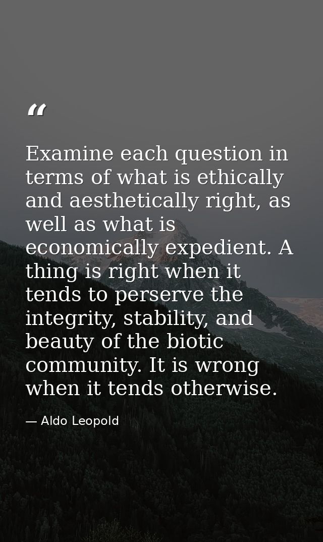 Examine each question in terms of what is ethically and aesthetically right, as well as what is economically expedient.  — Aldo Leopold