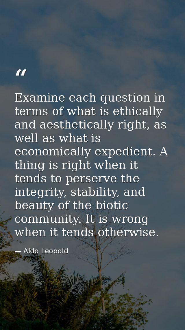 Examine each question in terms of what is ethically and aesthetically right, as well as what is economically expedient.  — Aldo Leopold