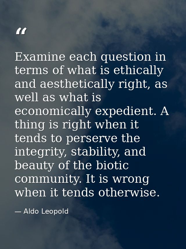 Examine each question in terms of what is ethically and aesthetically right, as well as what is economically expedient.  — Aldo Leopold