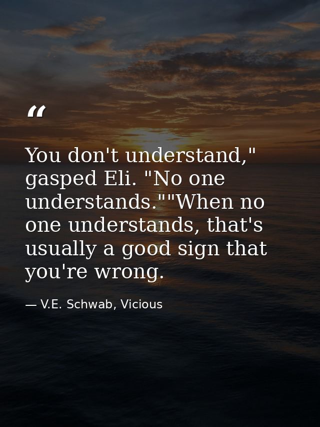 You don't understand," gasped Eli. "No one understands.""When no one understands, that's usually a good sign that you're — V.E. Schwab, Vicious
