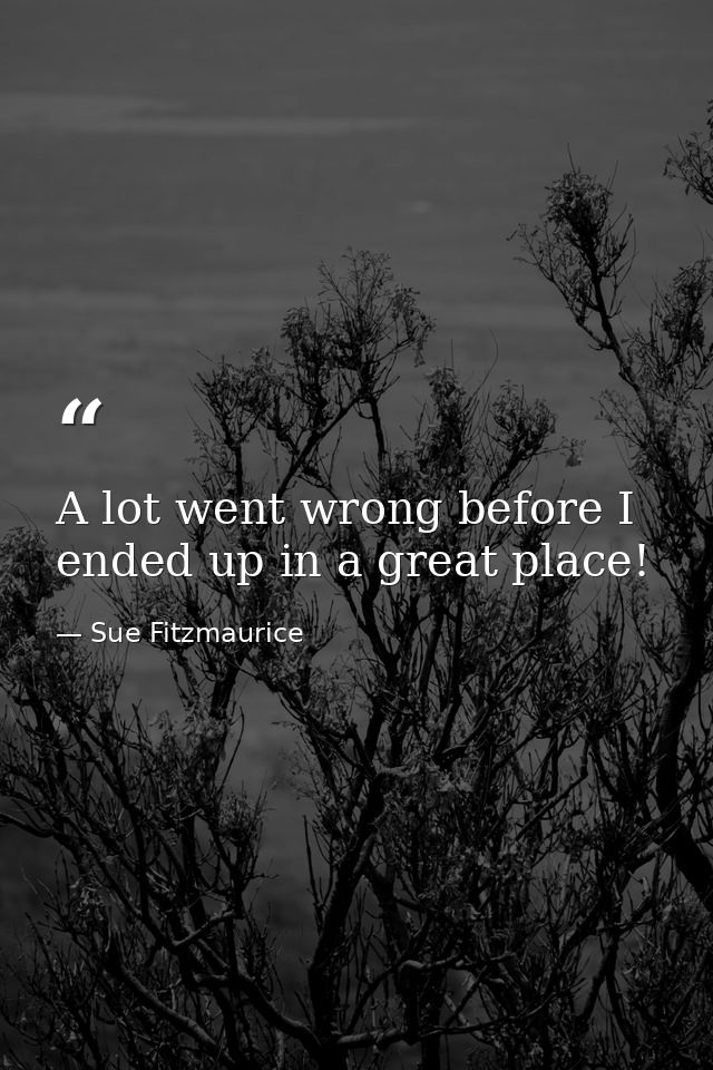 A lot went wrong before I ended up in a great place! — Sue Fitzmaurice