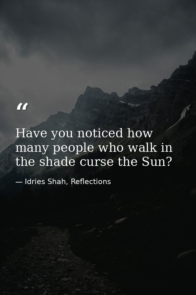 Have you noticed how many people who walk in the shade curse the Sun? — Idries Shah, Reflections