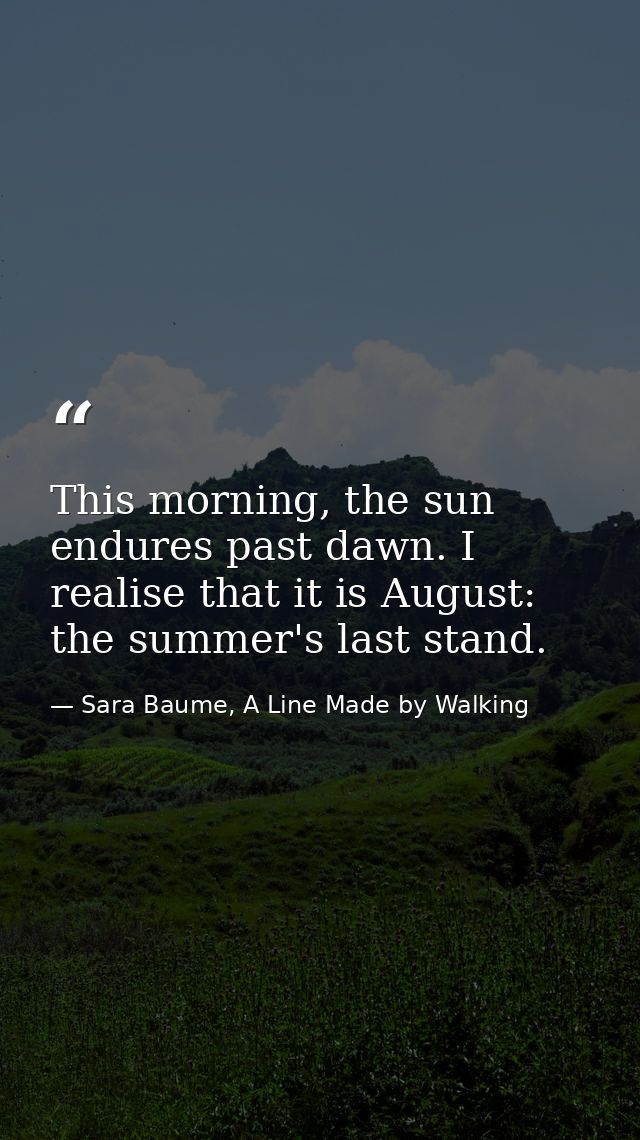 This morning, the sun endures past dawn. I realise that it is August: the summer's last stand. — Sara Baume, A Line Made by Walking