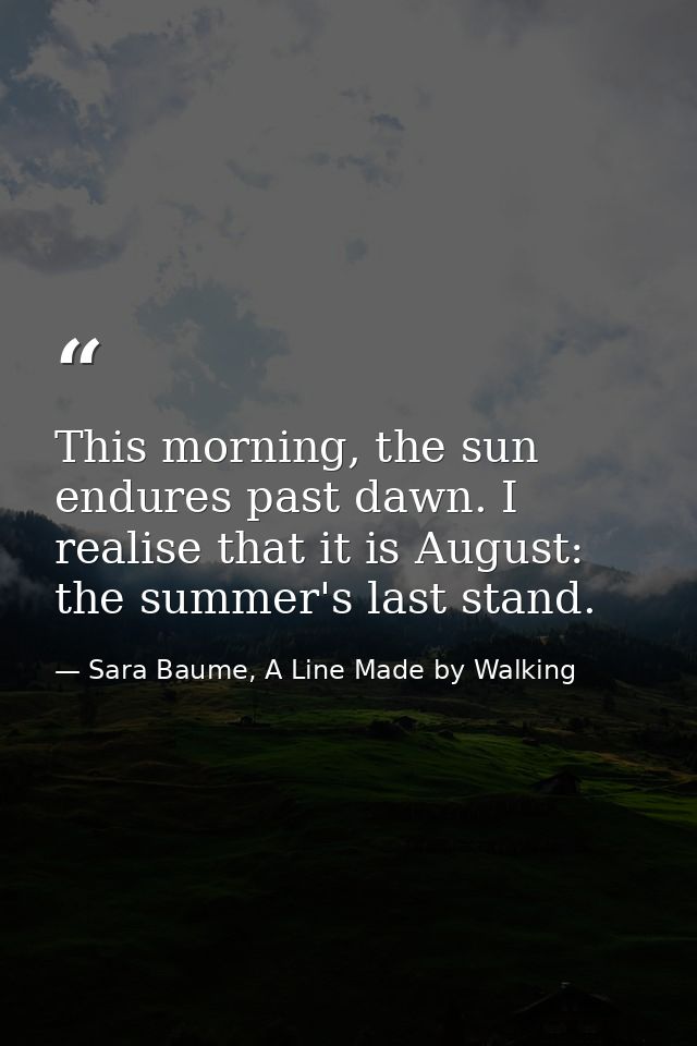 This morning, the sun endures past dawn. I realise that it is August: the summer's last stand. — Sara Baume, A Line Made by Walking
