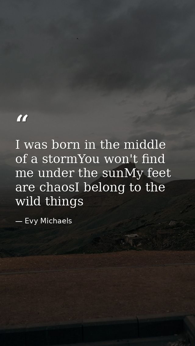I was born in the middle of a stormYou won't find me under the sunMy feet are chaosI belong to the wild things — Evy Michaels