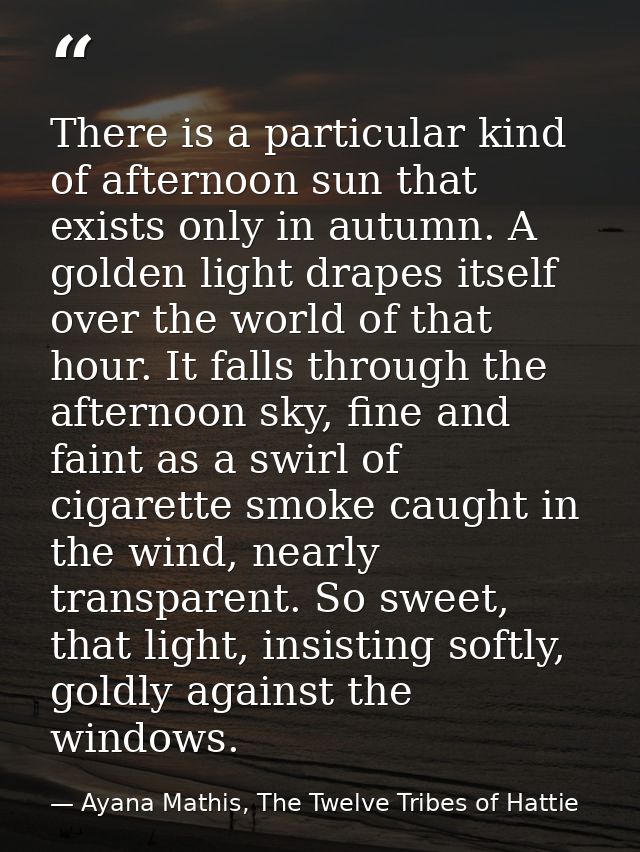 There is a particular kind of afternoon sun that exists only in autumn. A golden light drapes itself over the world of t — Ayana Mathis, The Twelve Tribes of Hattie