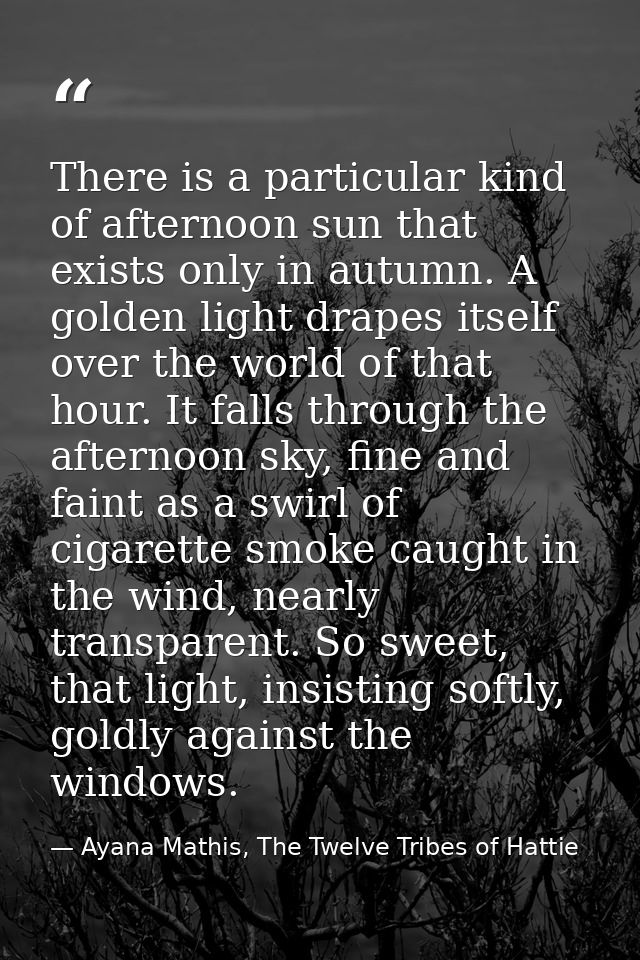 There is a particular kind of afternoon sun that exists only in autumn. A golden light drapes itself over the world of t — Ayana Mathis, The Twelve Tribes of Hattie