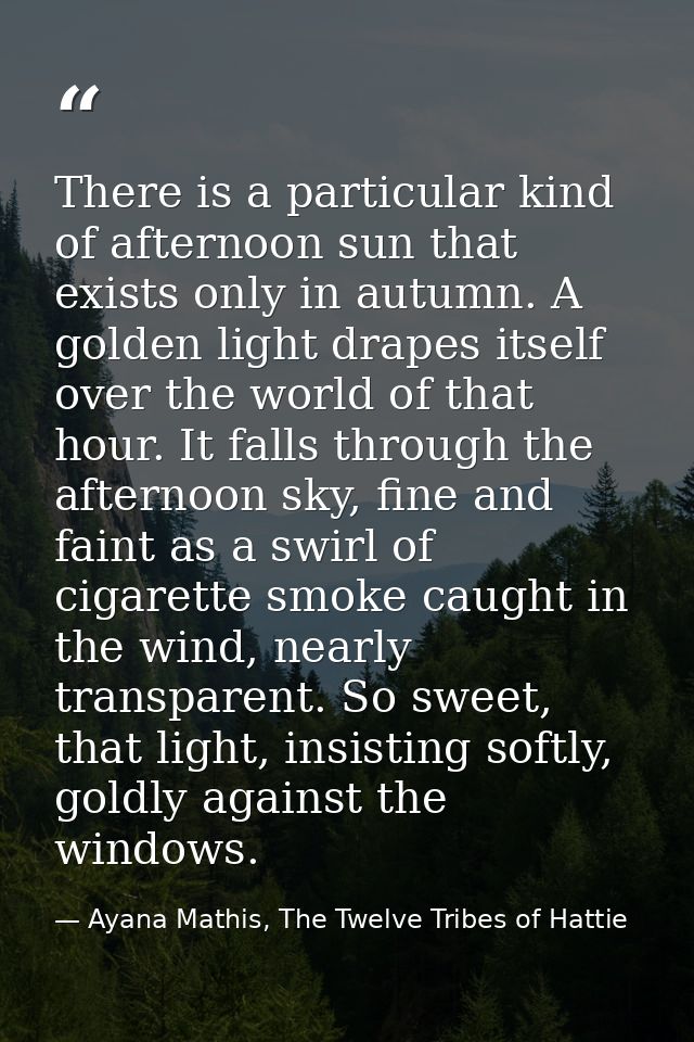 There is a particular kind of afternoon sun that exists only in autumn. A golden light drapes itself over the world of t — Ayana Mathis, The Twelve Tribes of Hattie