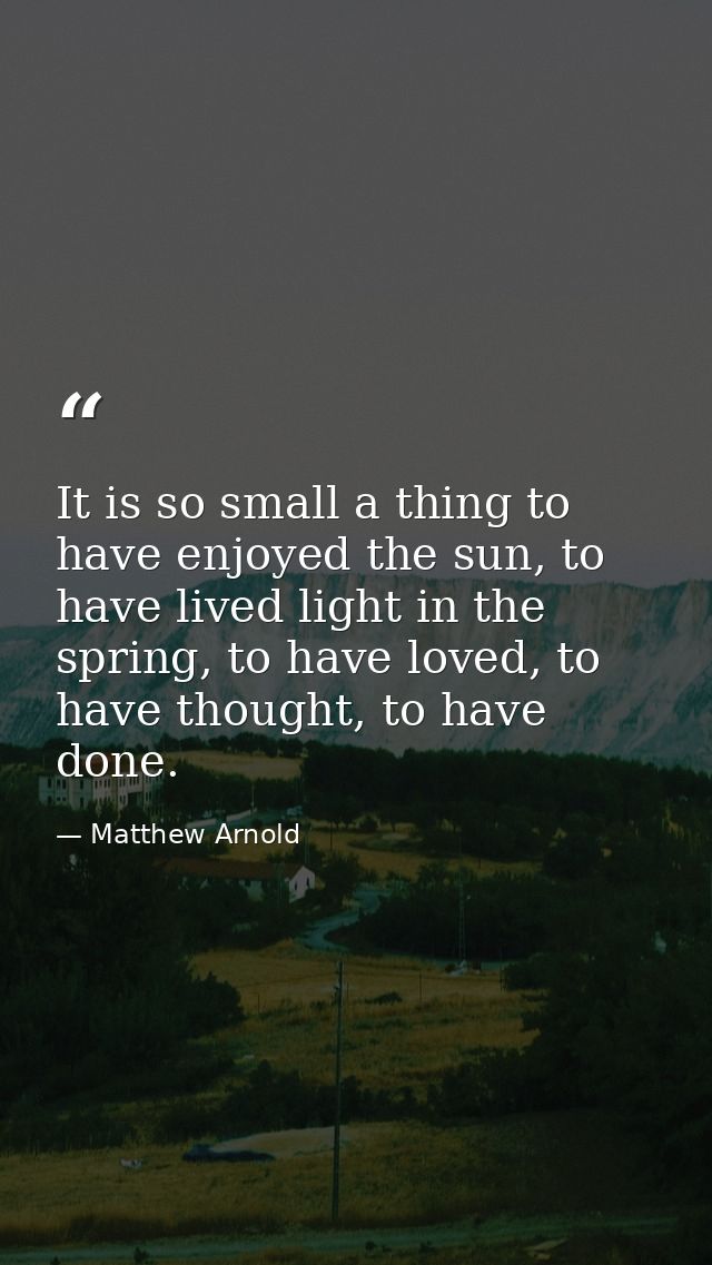 It is so small a thing to have enjoyed the sun, to have lived light in the spring, to have loved, to have thought, to ha — Matthew Arnold