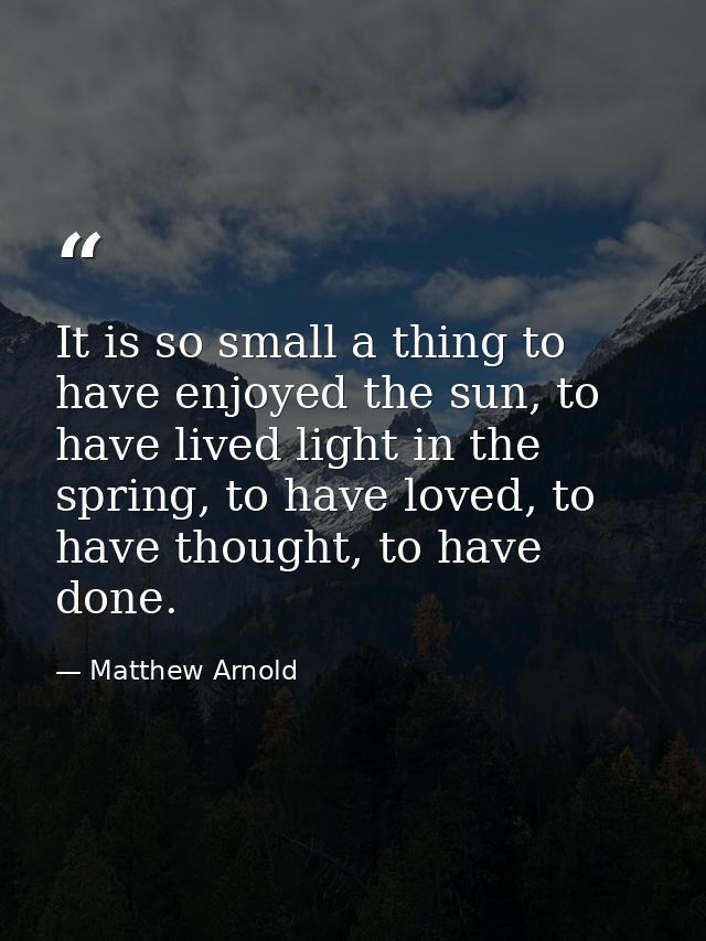 It is so small a thing to have enjoyed the sun, to have lived light in the spring, to have loved, to have thought, to ha — Matthew Arnold
