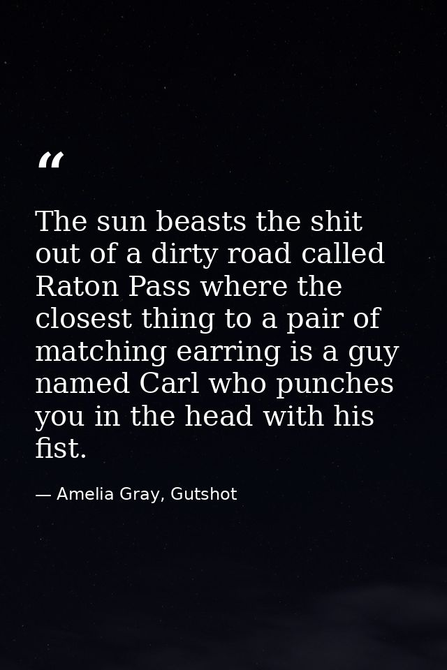 The sun beasts the shit out of a dirty road called Raton Pass where the closest thing to a pair of matching earring is a — Amelia Gray, Gutshot