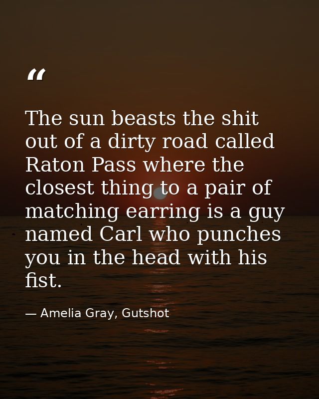 The sun beasts the shit out of a dirty road called Raton Pass where the closest thing to a pair of matching earring is a — Amelia Gray, Gutshot