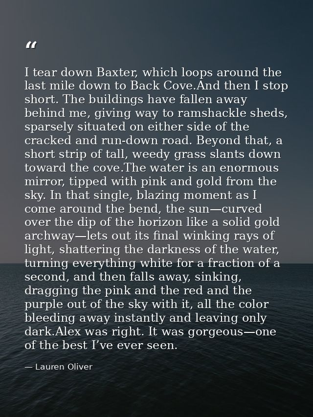 I tear down Baxter, which loops around the last mile down to Back Cove.And then I stop short. The buildings have fallen  — Lauren Oliver