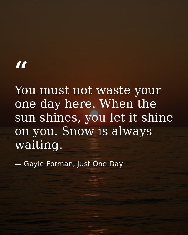 You must not waste your one day here. When the sun shines, you let it shine on you. Snow is always waiting. — Gayle Forman, Just One Day