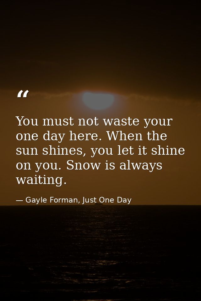 You must not waste your one day here. When the sun shines, you let it shine on you. Snow is always waiting. — Gayle Forman, Just One Day