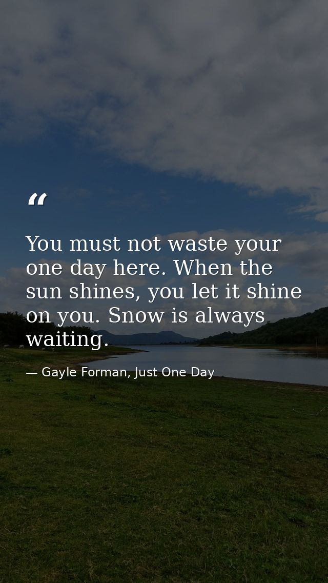 You must not waste your one day here. When the sun shines, you let it shine on you. Snow is always waiting. — Gayle Forman, Just One Day