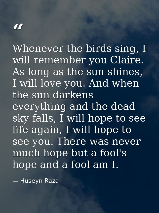 Whenever the birds sing, I will remember you Claire. As long as the sun shines, I will love you. And when the sun darken — Huseyn Raza