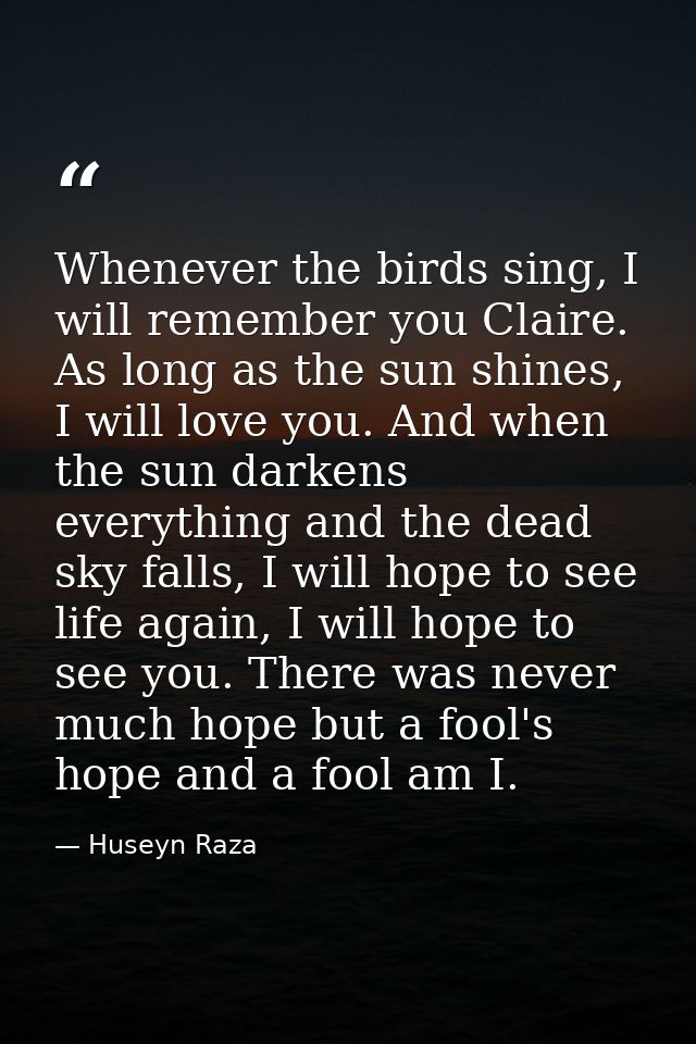 Whenever the birds sing, I will remember you Claire. As long as the sun shines, I will love you. And when the sun darken — Huseyn Raza