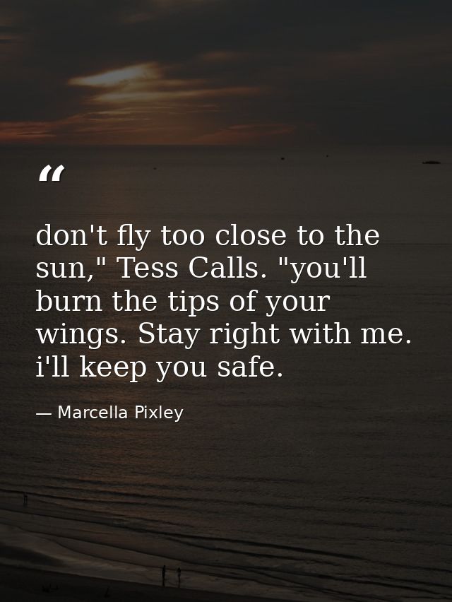 don't fly too close to the sun," Tess Calls. "you'll burn the tips of your wings. Stay right with me. i'll keep you safe — Marcella Pixley