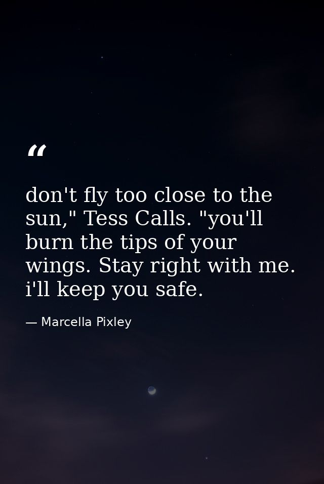don't fly too close to the sun," Tess Calls. "you'll burn the tips of your wings. Stay right with me. i'll keep you safe — Marcella Pixley