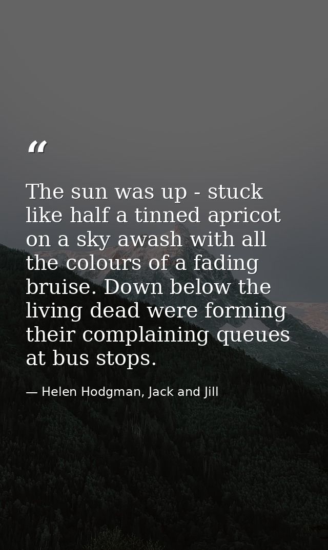 The sun was up - stuck like half a tinned apricot on a sky awash with all the colours of a fading bruise. Down below the — Helen Hodgman, Jack and Jill