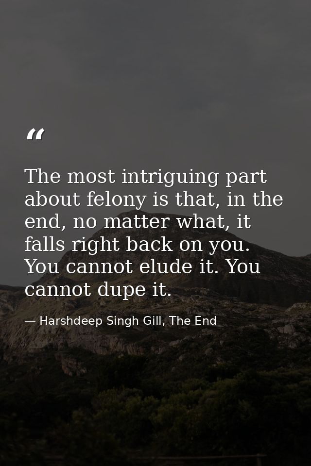 The most intriguing part about felony is that, in the end, no matter what, it falls right back on you. You cannot elude  — Harshdeep Singh Gill, The End