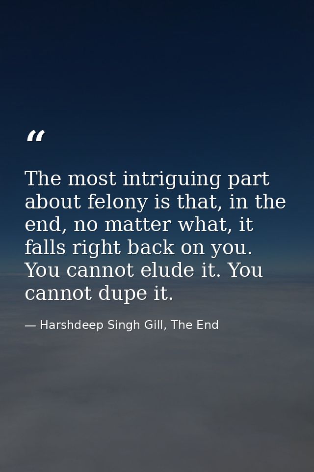 The most intriguing part about felony is that, in the end, no matter what, it falls right back on you. You cannot elude  — Harshdeep Singh Gill, The End